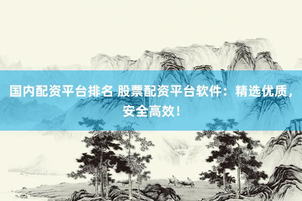 国内配资平台排名 股票配资平台软件：精选优质，安全高效！
