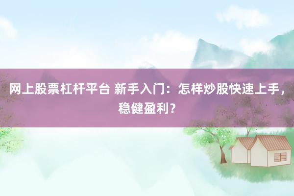 网上股票杠杆平台 新手入门：怎样炒股快速上手，稳健盈利？