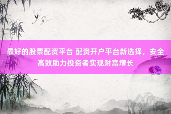 最好的股票配资平台 配资开户平台新选择，安全高效助力投资者实现财富增长