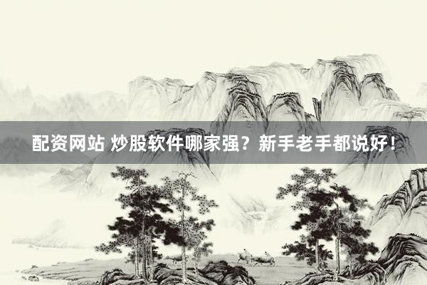 配资网站 炒股软件哪家强？新手老手都说好！
