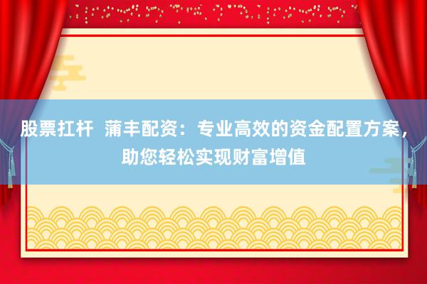 股票扛杆  蒲丰配资：专业高效的资金配置方案，助您轻松实现财富增值