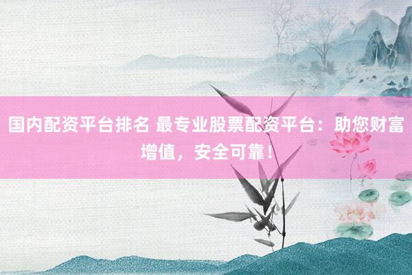 国内配资平台排名 最专业股票配资平台：助您财富增值，安全可靠！