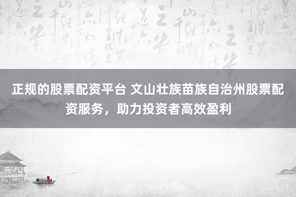 正规的股票配资平台 文山壮族苗族自治州股票配资服务，助力投资者高效盈利