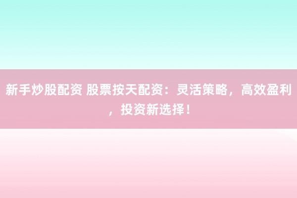 新手炒股配资 股票按天配资：灵活策略，高效盈利，投资新选择！