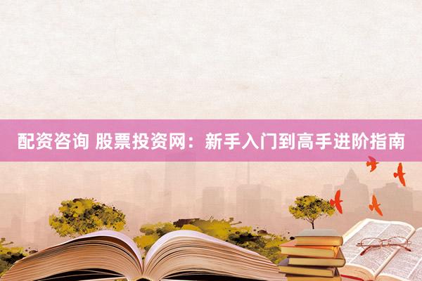 配资咨询 股票投资网：新手入门到高手进阶指南