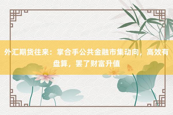 外汇期货往来：掌合手公共金融市集动向，高效有盘算，罢了财富升值