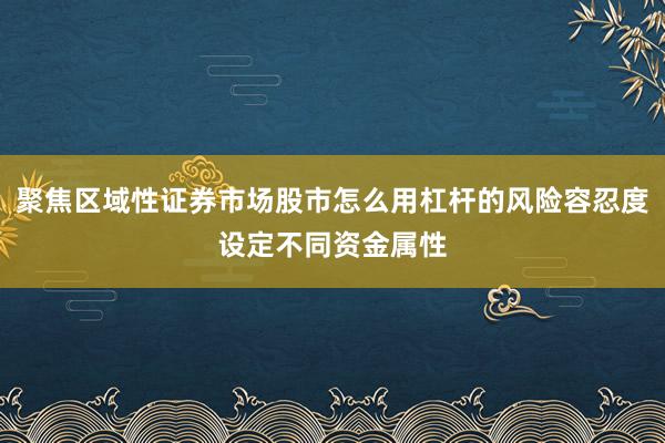 聚焦区域性证券市场股市怎么用杠杆的风险容忍度设定不同资金属性