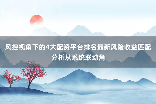 风控视角下的4大配资平台排名最新风险收益匹配分析从系统联动角
