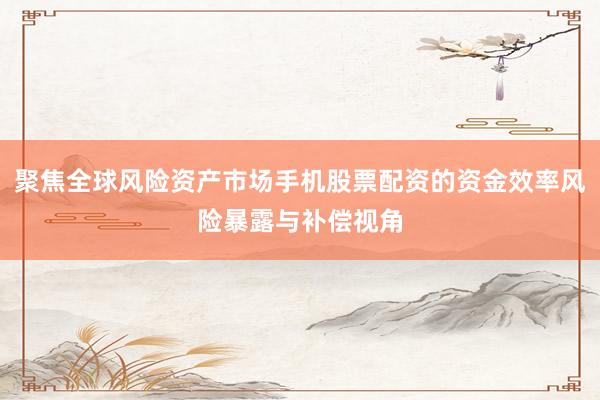 聚焦全球风险资产市场手机股票配资的资金效率风险暴露与补偿视角