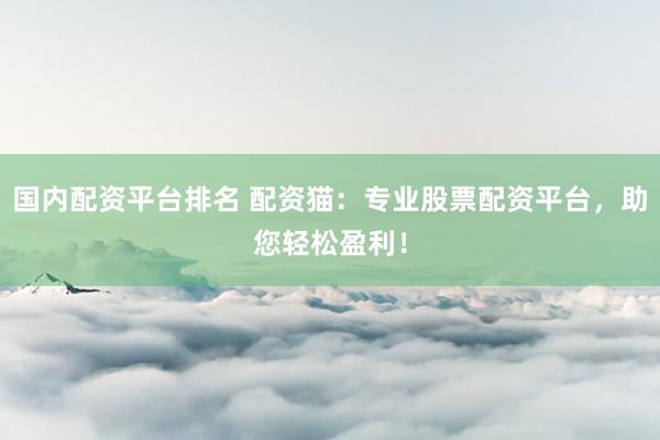 国内配资平台排名 配资猫：专业股票配资平台，助您轻松盈利！