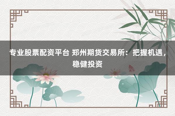 专业股票配资平台 郑州期货交易所：把握机遇，稳健投资