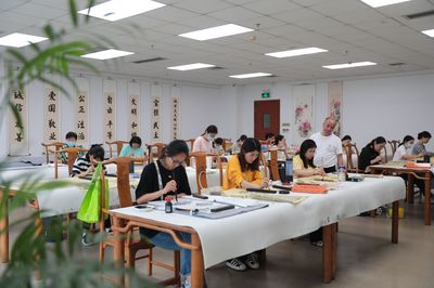 687门课程等你来选!深圳公益文化艺术培训“总分校”正式起航